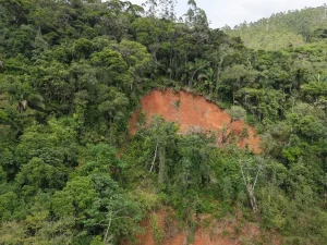 Alerta em Apiúna: Defesa Civil notifica moradores para desocupação preventiva após deslizamento de terra