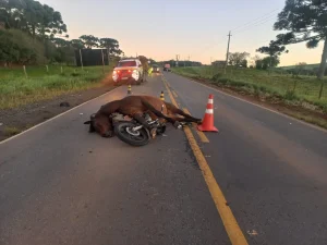 Motociclista de 21 anos morre após colidir com cavalo e ser atropelado por carro em SC