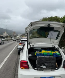 Homem é preso com quase 30 quilos de drogas durante abordagem na BR-101, em Itapema