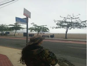 Polícia Ambiental resgata ave ferida e recolhe três cágados em Itajaí e Balneário Camboriú