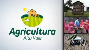 Agricultura Alto Vale – Ed. 17/10/2026