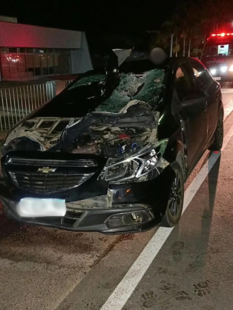 Acidente Mulher Morre Ibirama