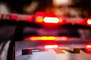 Homem é preso após polícia apreender 32 pés e 115 sementes de maconha em Laurentino